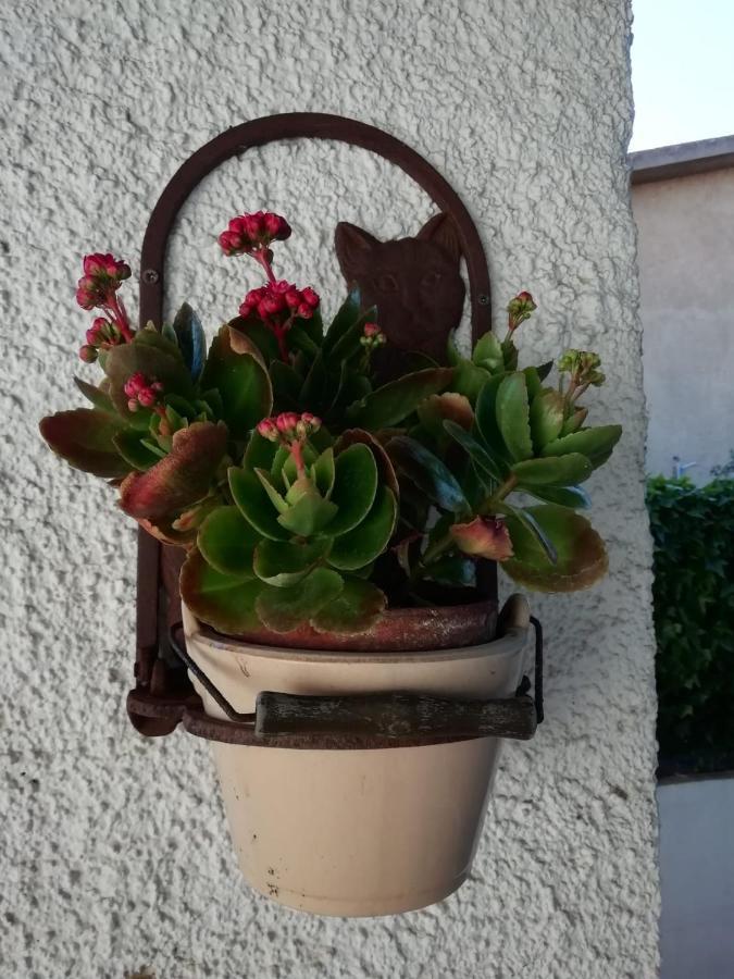 Casa Molara Apartman Olbia Kültér fotó